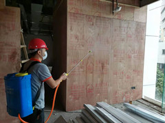 白蚁防治